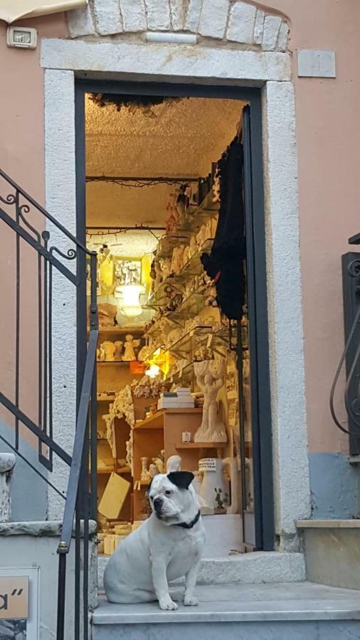 L ' Canton B&B Colonnata Extérieur photo
